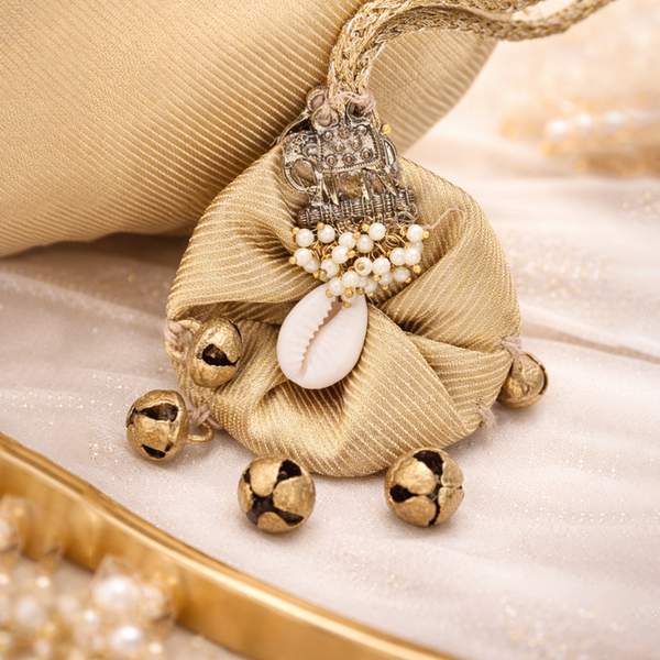 Tissue Silk Jardoji Work